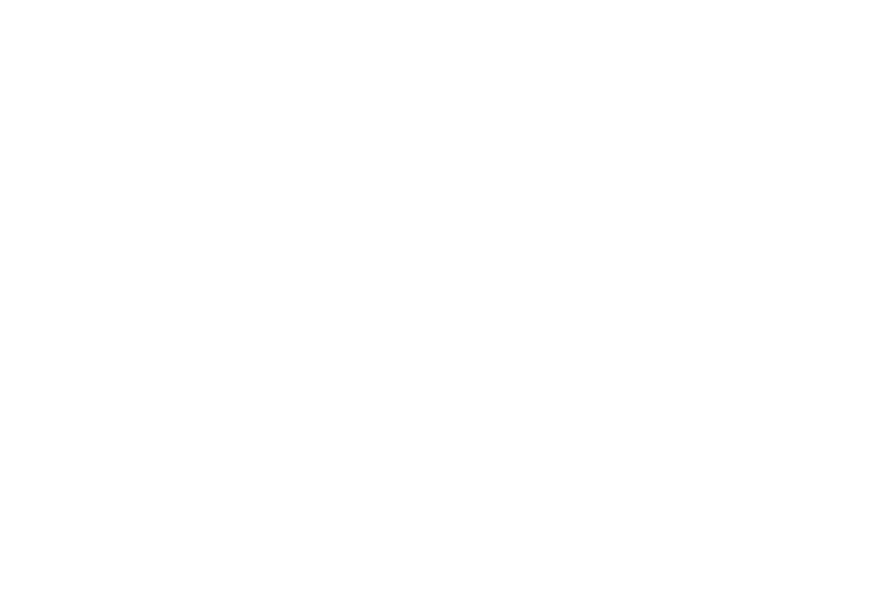 Behance Button